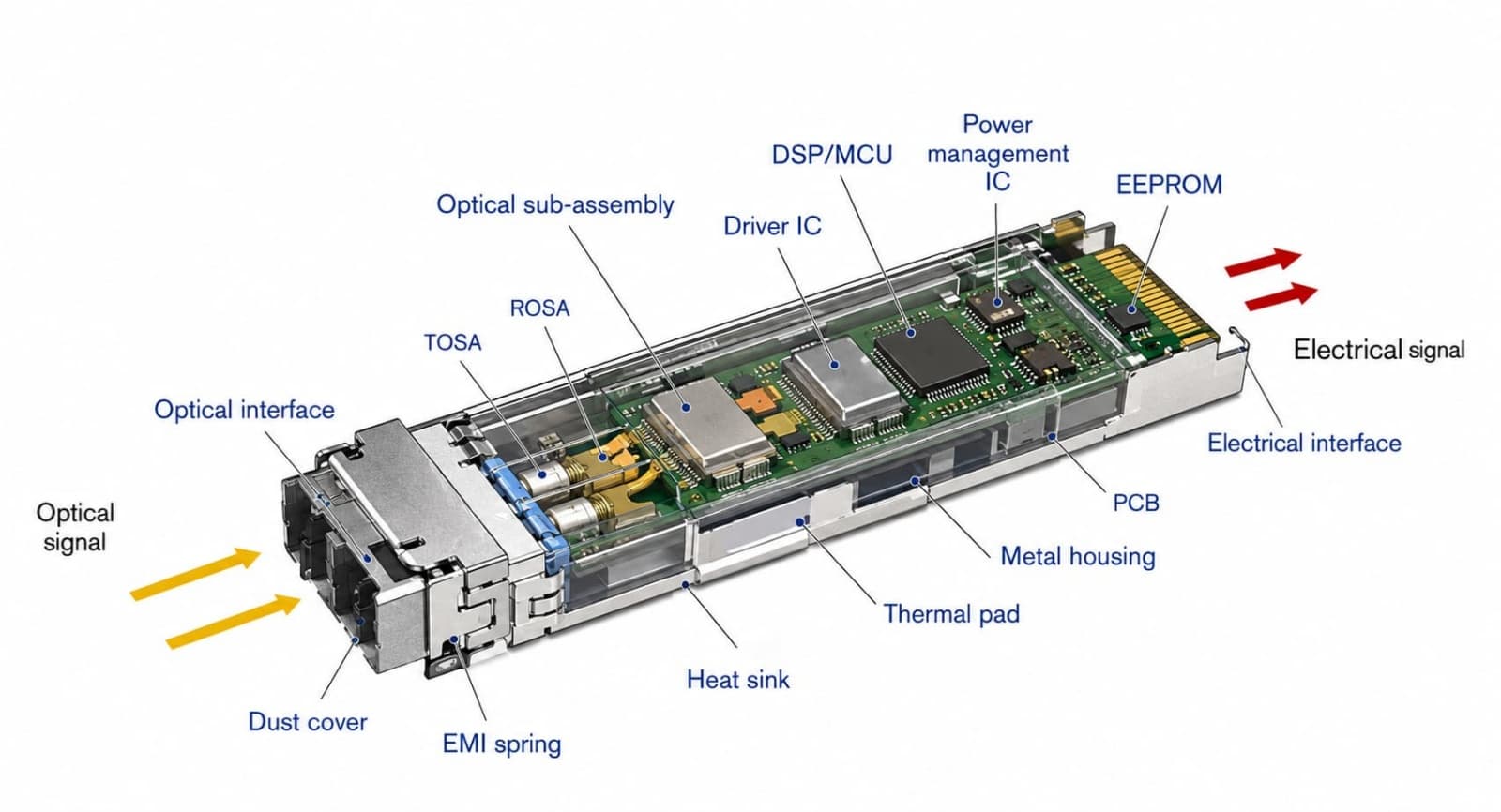 infograhic of SFP Modules